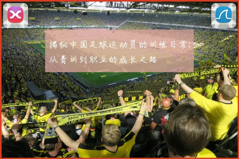 揭秘中国足球运动员的训练日常：从青训到职业的成长之路
